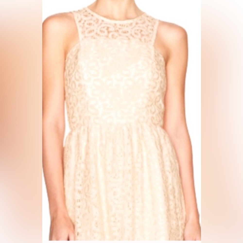 NWT ($108) Limited Cream Lace Fit & Flare Midi Dress Sz 10 - Picture 3 of 11